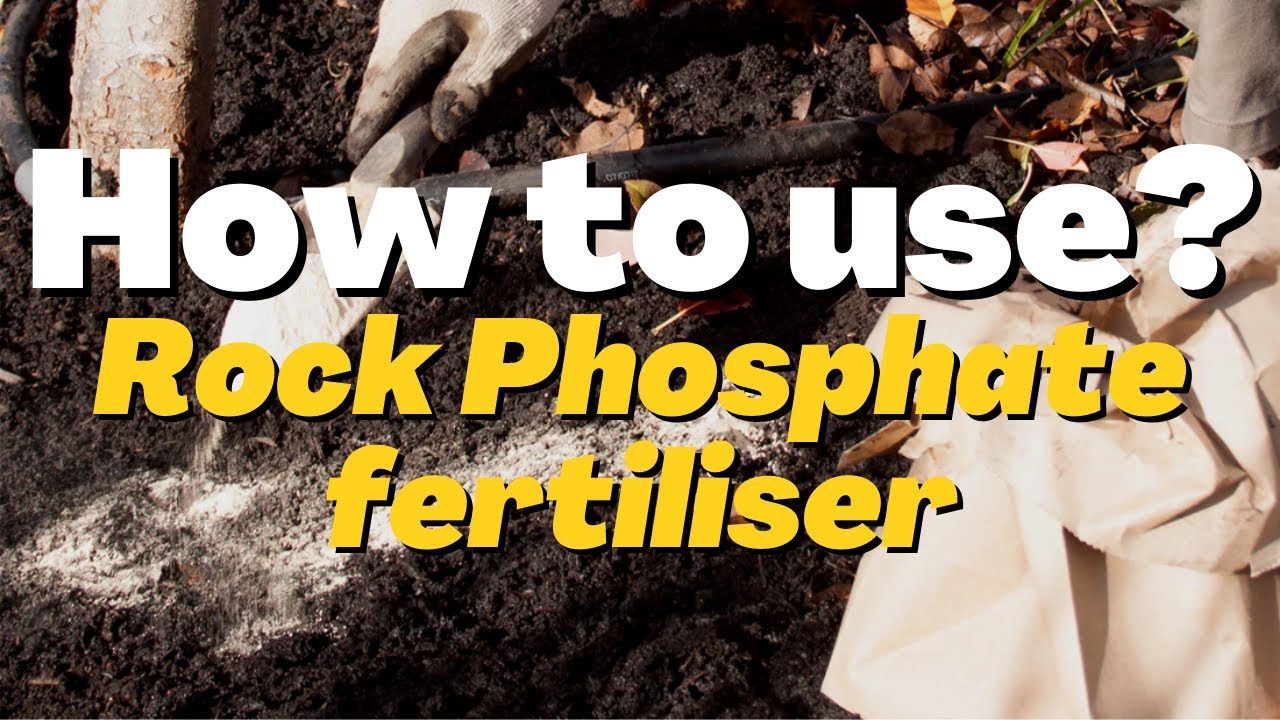 Rock phosphate use in Gardening | How to use Rock Phosphate fertiliser