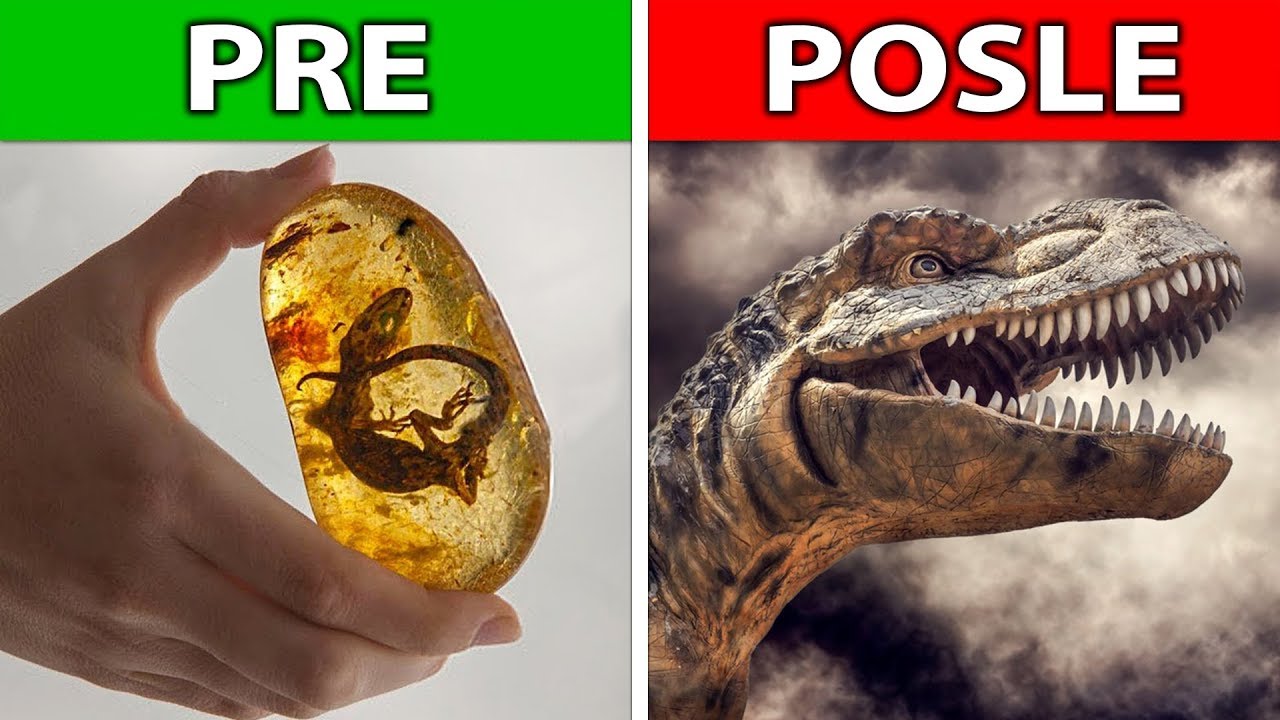 Možemo Li Vratiti Dinosauruse?