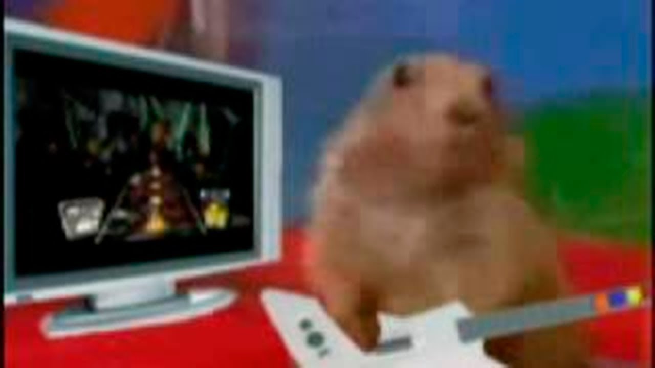 Clone Hero: Free Bird até fazer FC pra eu deixar de ser ruim... (PT-BR / EN-US)