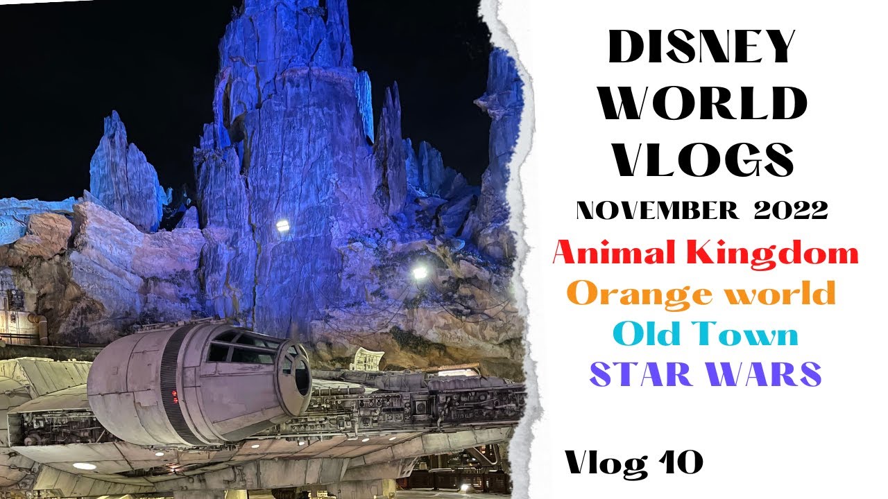 DISNEY WORLD VLOG -Animal Kingdom-Orange World-Old Town-Night Time At Galaxy's Edge- November 2022