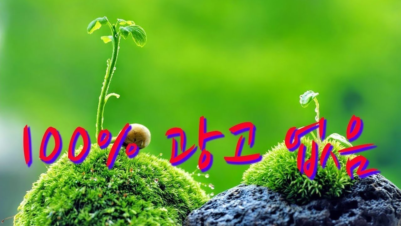 100% 광고 없음,아름다운 클래식기타 연주곡모음,수면음악,힐링음악,잔잔하고 감미로운 피아노 연주음악 모음,클래식 연속듣기 (Violin INSTRUMENTA