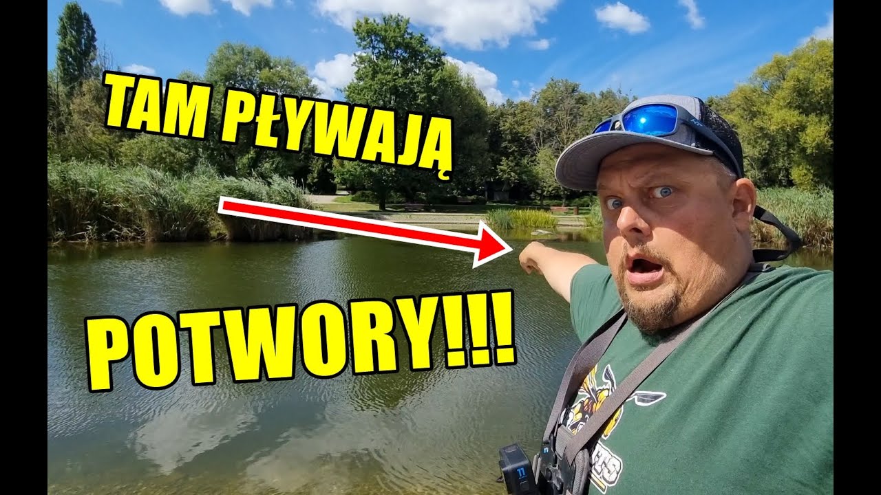 STAW PARKOWY z ogromnymi rybami!!! Wędkarska Warszawa