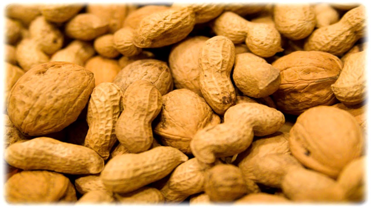Cracking Peanut Shells/ Riss Erdn&uuml;sse sch&auml;len / Rozłupywanie orzech&oacute;w SOUND EFFECTS