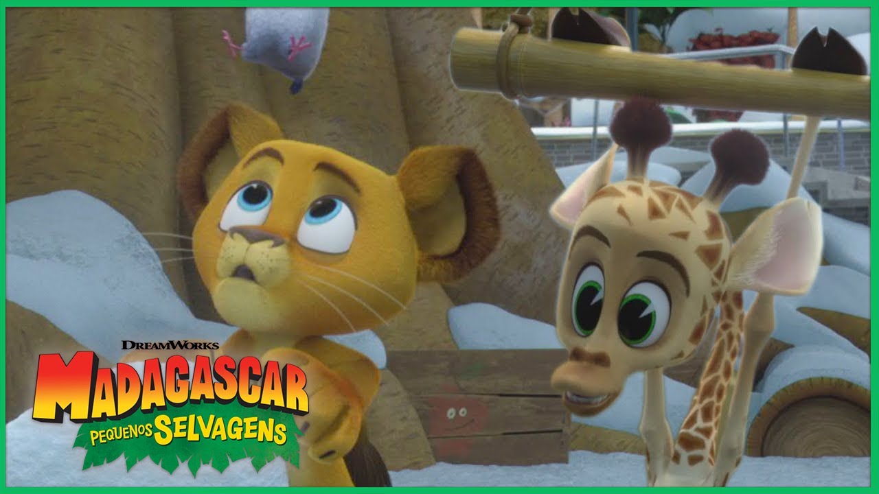Melman, o Doutor! 🦒 🏥 | DreamWorks Madagascar em Português