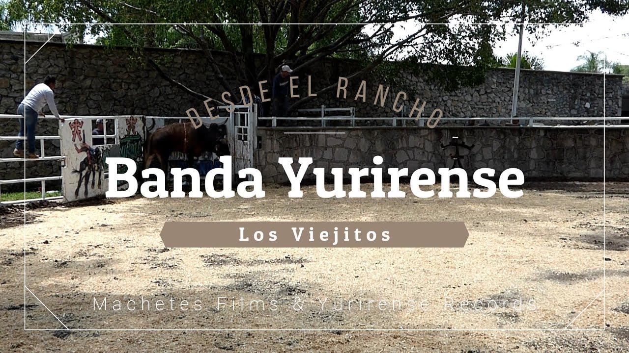 Banda Yurirense - Los Viejitos (En Vivo)
