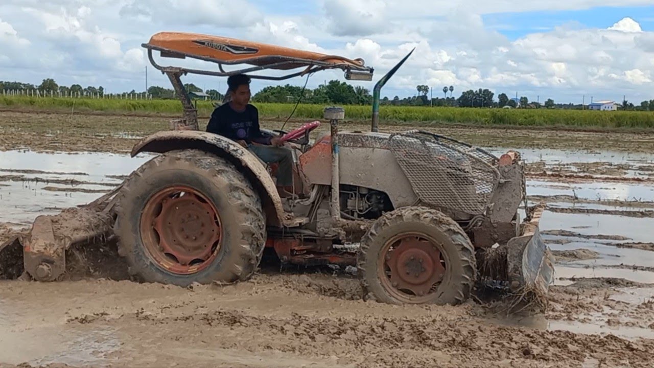 Amazing Team Kubota Tractor Harrowing Soil  Rice Field, Tractor Kubota M6040SU Working Ploughing