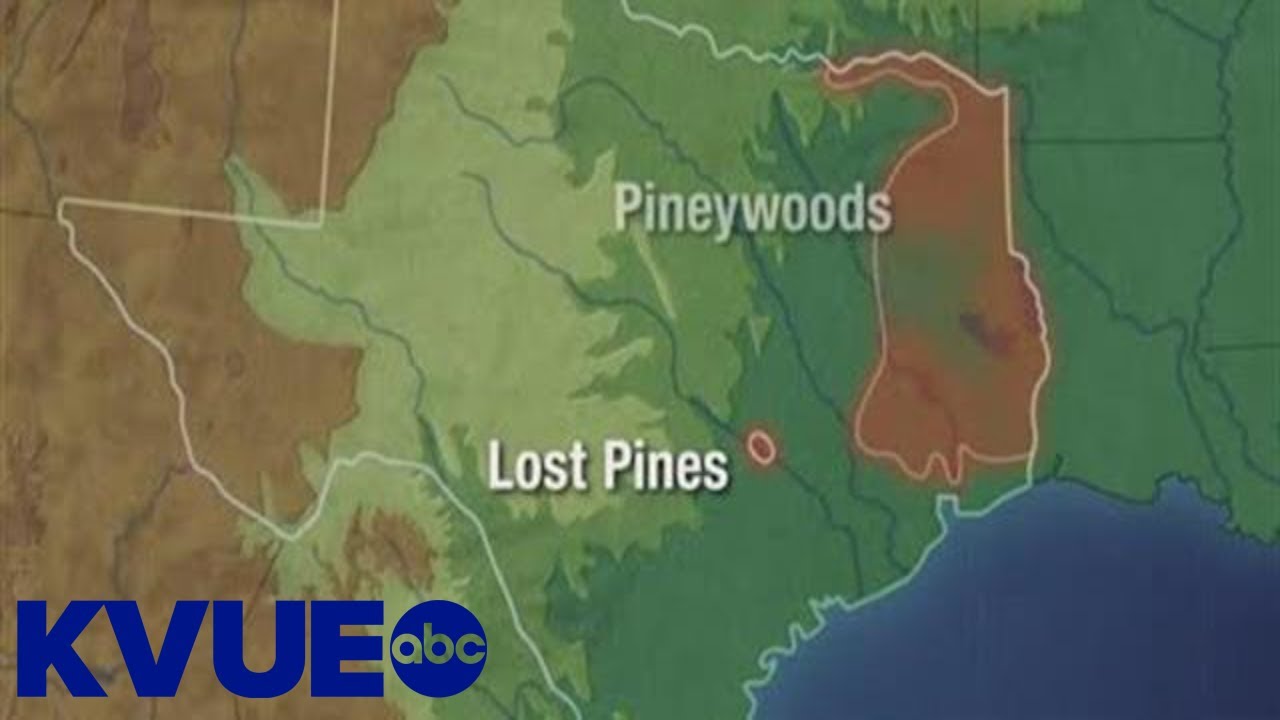 The history of Bastrop State Park | KVUE