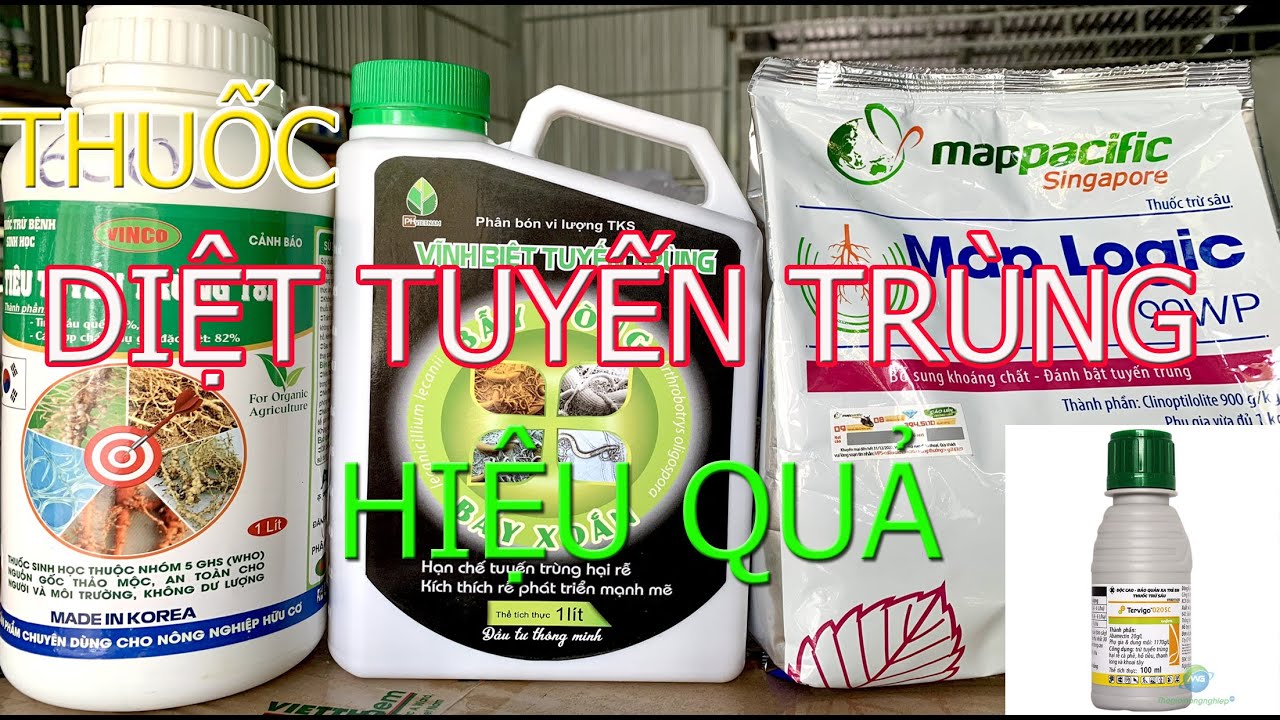 Thuốc diệt tuyến trùng nào cho cây sầu riêng hiệu quả nhất?