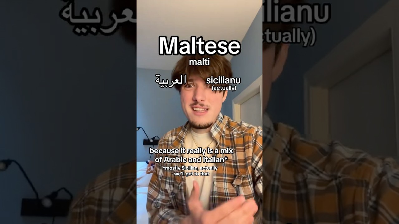 The Maltese language is fascinating! #language #malta #arabic #history #italy