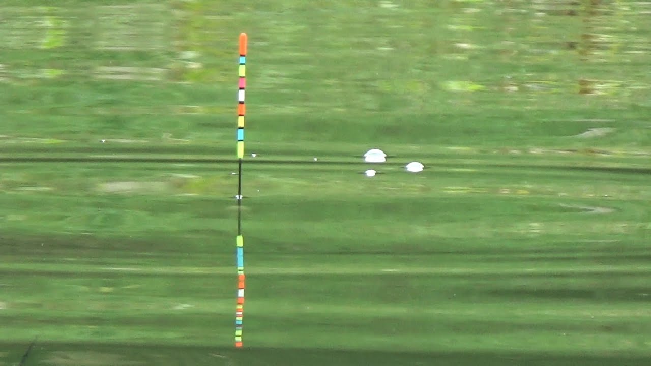 Yang Sering Boncos Cobalah SpoT Di Sini Di Jamin Bahagia... 