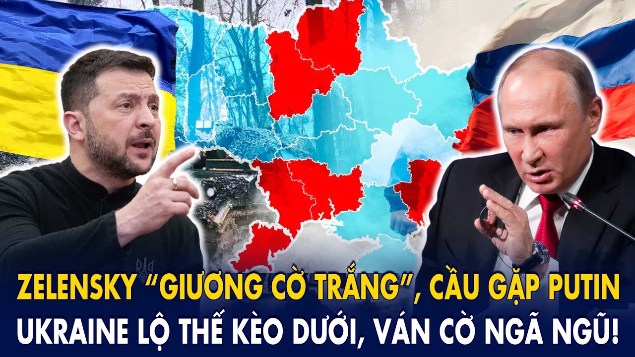 Zelensky “giương cờ trắng”, cầu gặp Putin: Ukraine lộ thế kèo dưới, ván cờ ngã ngũ!