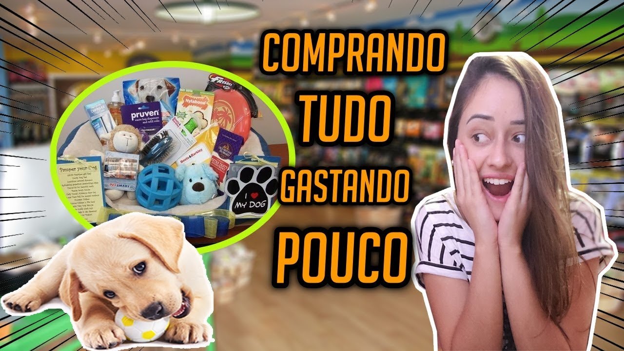 Enxoval COMPLETO para cachorro FILHOTE [GASTANDO R$200,00] #euemeupet2