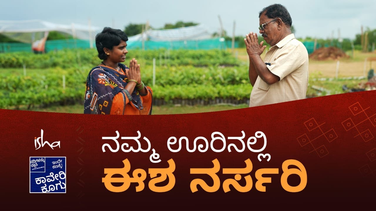 ಮರ ಆಧಾರಿತ ಕೃಷಿ ಮಾಡೊದಕ್ಕೆ ನಮ್ಮನ್ನು ಸಂಪರ್ಕಿಸಿ | For Tree based farming contact us.