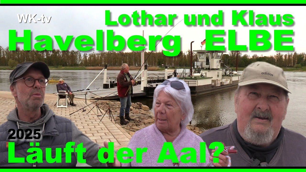 Angeln ELBE bei Havelberg - Lothar und Klaus - Läuft der Aal? 2025