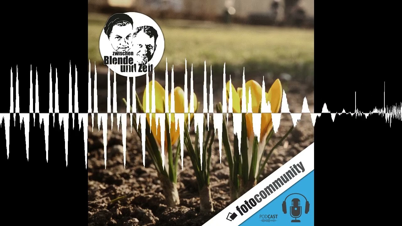 459 - Rausgehen, hinschauen, fotografieren – warum der Frühling unsere Wahrnehmung wieder öffnet