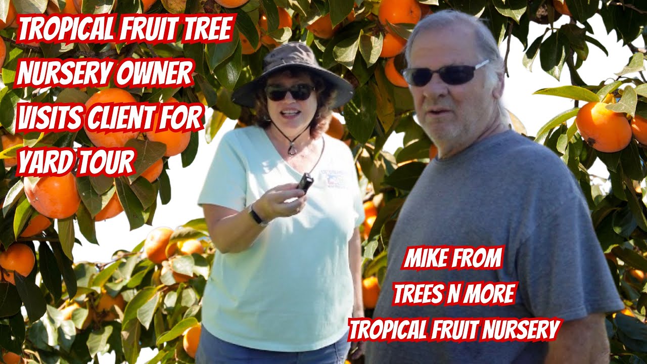 High Density Fruit Tree Growing Can Work If You Keep Your Yard Like This