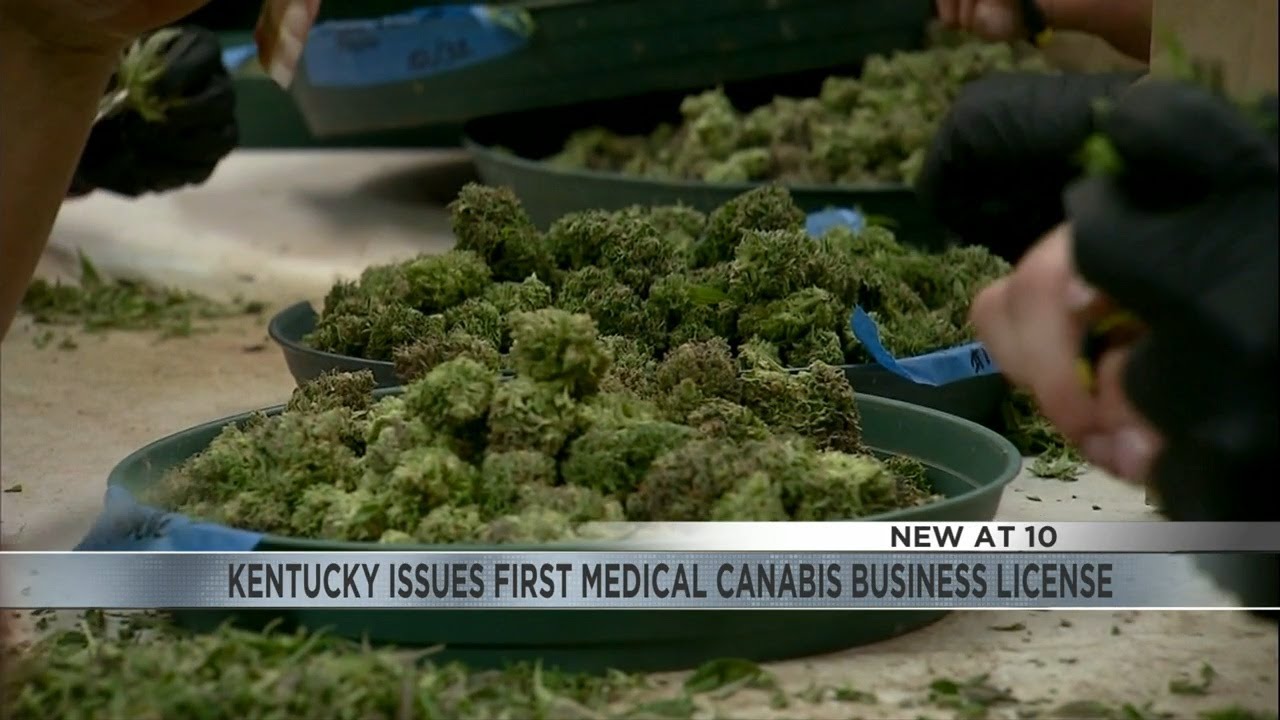 First cannabis medical license issued in Kentucky