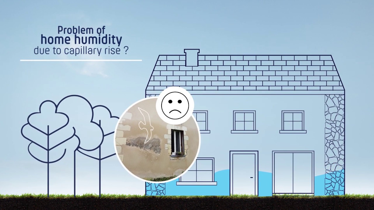 I.P.E&reg; (Electromagnetic Polarity Inverter) to treat rising damp problems