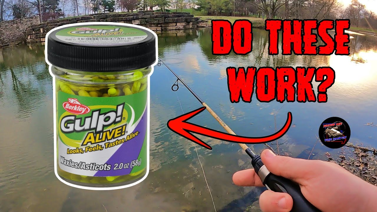Are These Any Good for Bluegill? | Fishing with Gulp Alive Waxies
