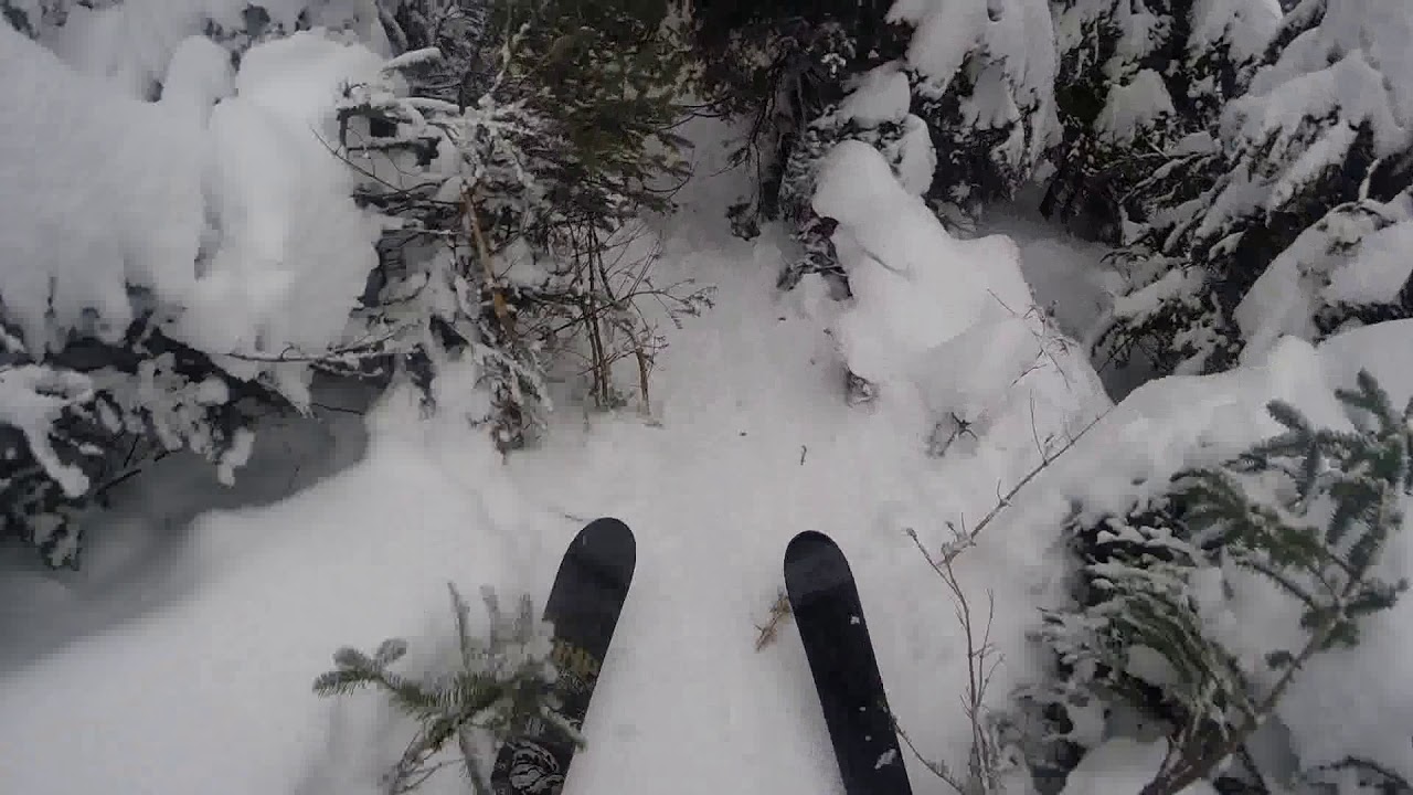 Skiing Exterminator Woods at Sugarbush Resort