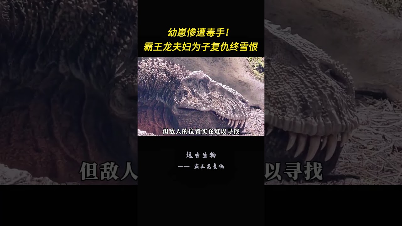 幼崽惨遭毒手！霸王龙夫妇为子复仇终雪恨 #史前巨兽 #古生物 #恐龙  #科普 #纪录片解说