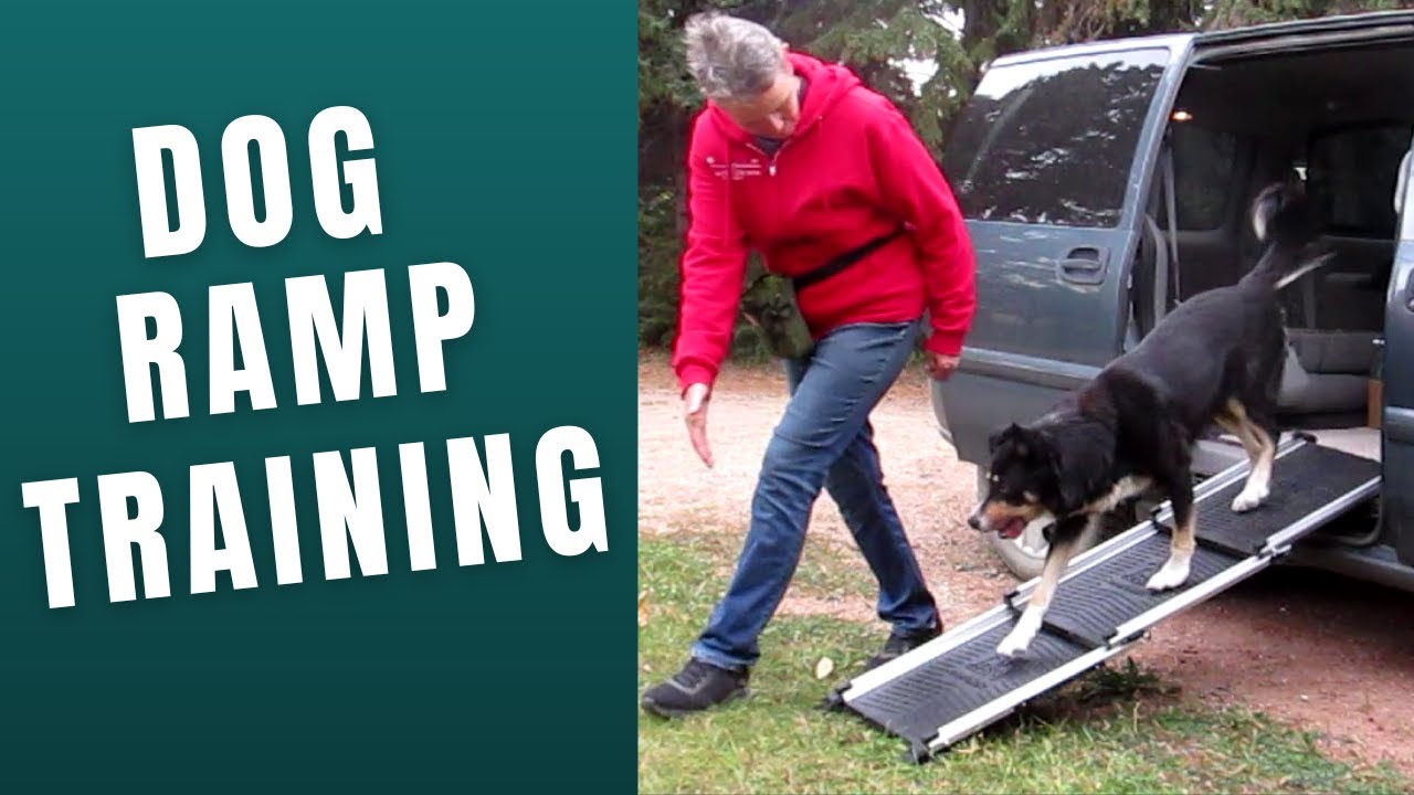 Stop Lifting Your Dog—Teach This Easy Ramp Trick!