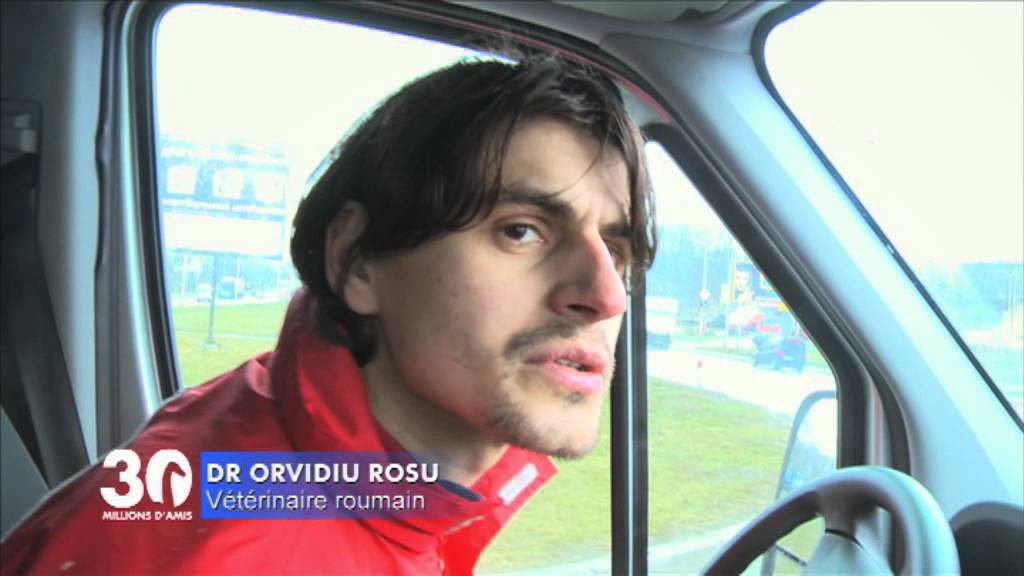 Mobilisation générale en Ukraine