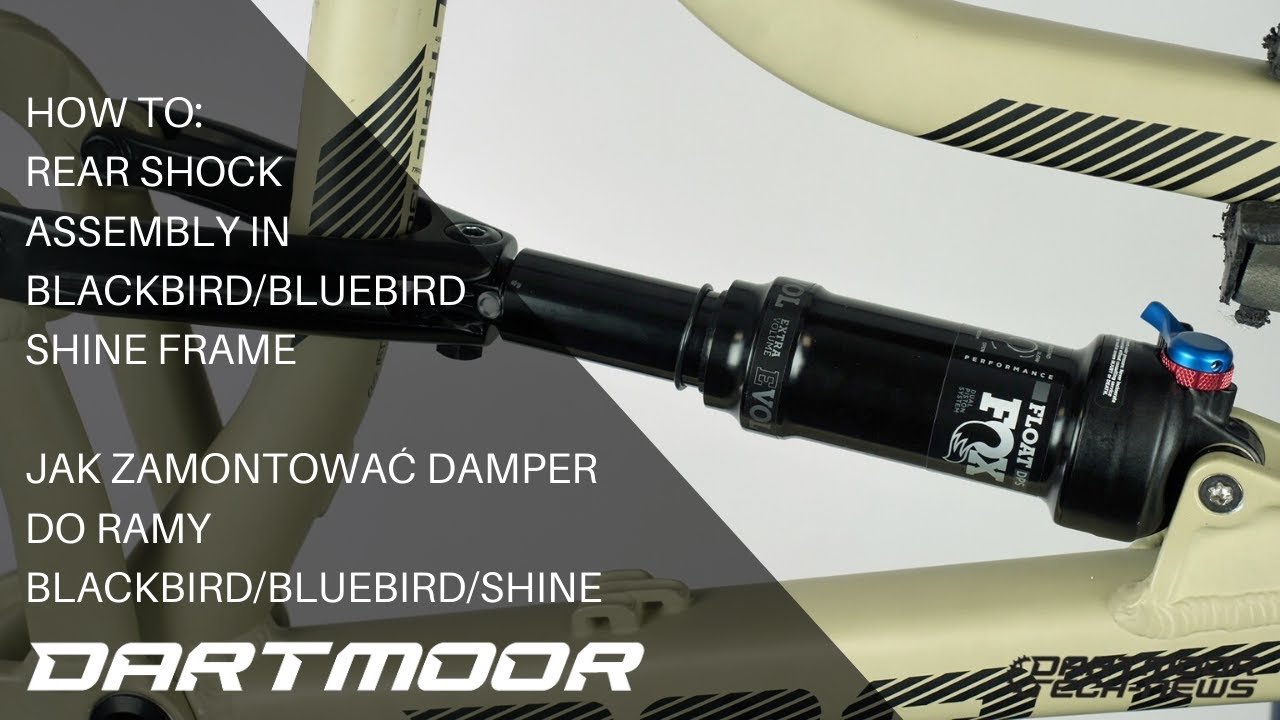 How to: Rear Shock Assembly in Blackbird/Bluebird/Shine Frame