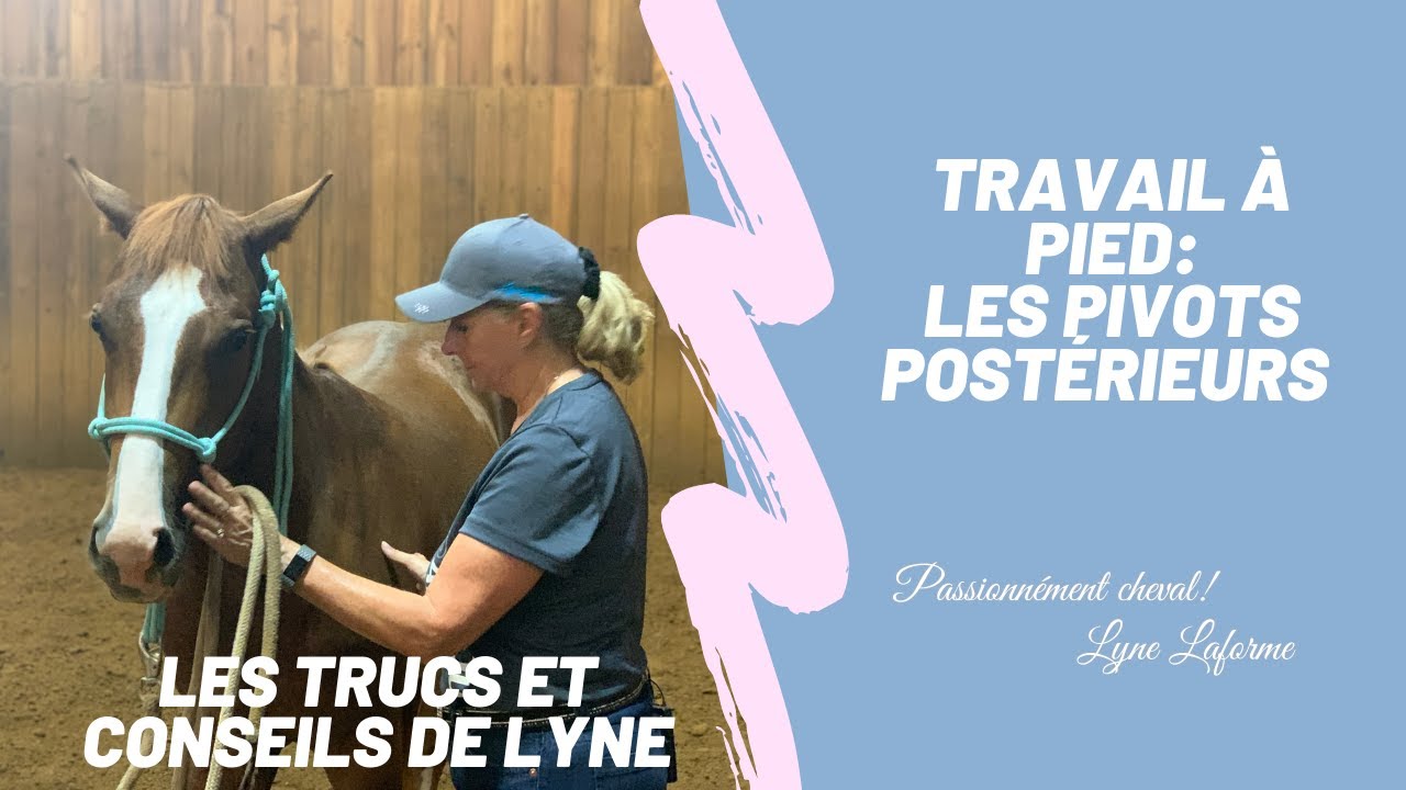 Le travail à pied: les pivots sur les postérieurs. Vidéo 6 de la série : Le travail à pied!