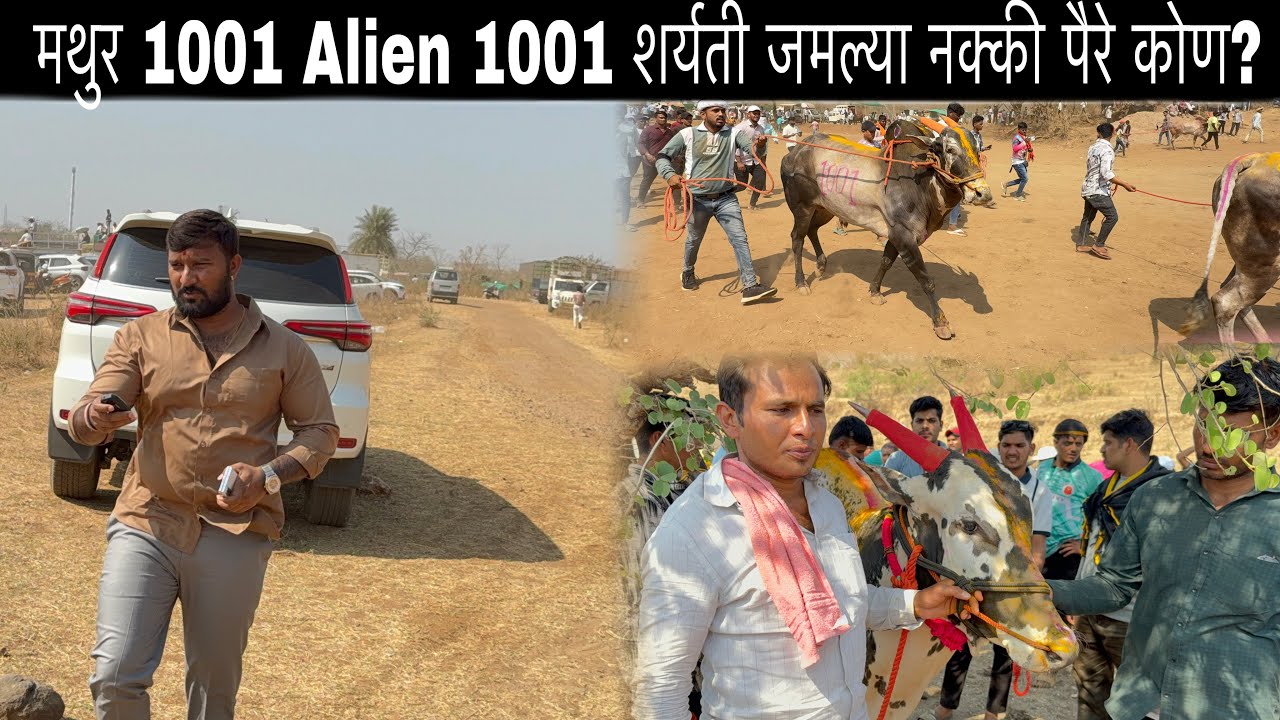 राहुल भाई मैदानात दाखल मथुर 1001 Alien 1001 शर्यती जमल्या नक्की पैरे कोण?