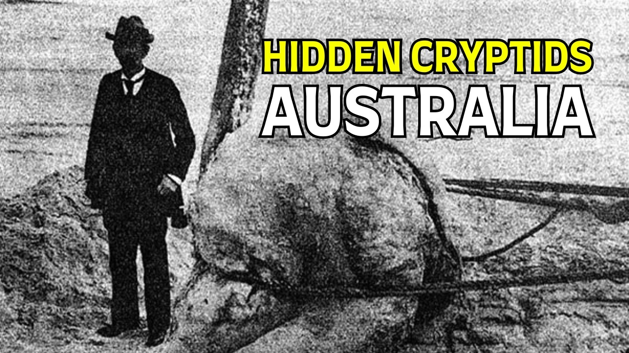 Are These Creatures Real? The Cryptids of Australia