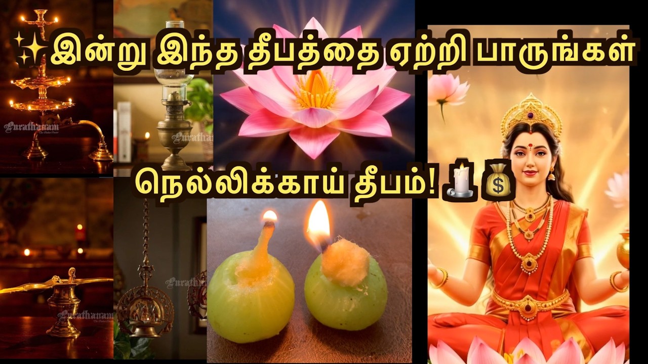 ✨இன்று இந்த தீபத்தை ஏற்றி பாருங்கள் நெல்லிக்காய் தீபம்! 🕯️💰 #siddharragasiyamtamil #aanmeegamtips