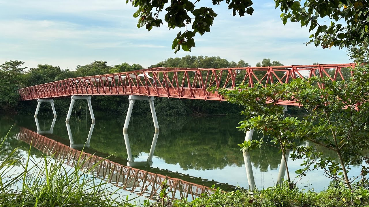 Singapore's Scenic Cycling Routes | From Punggol Waterway Point to Tampines via Pasir Ris Beach
