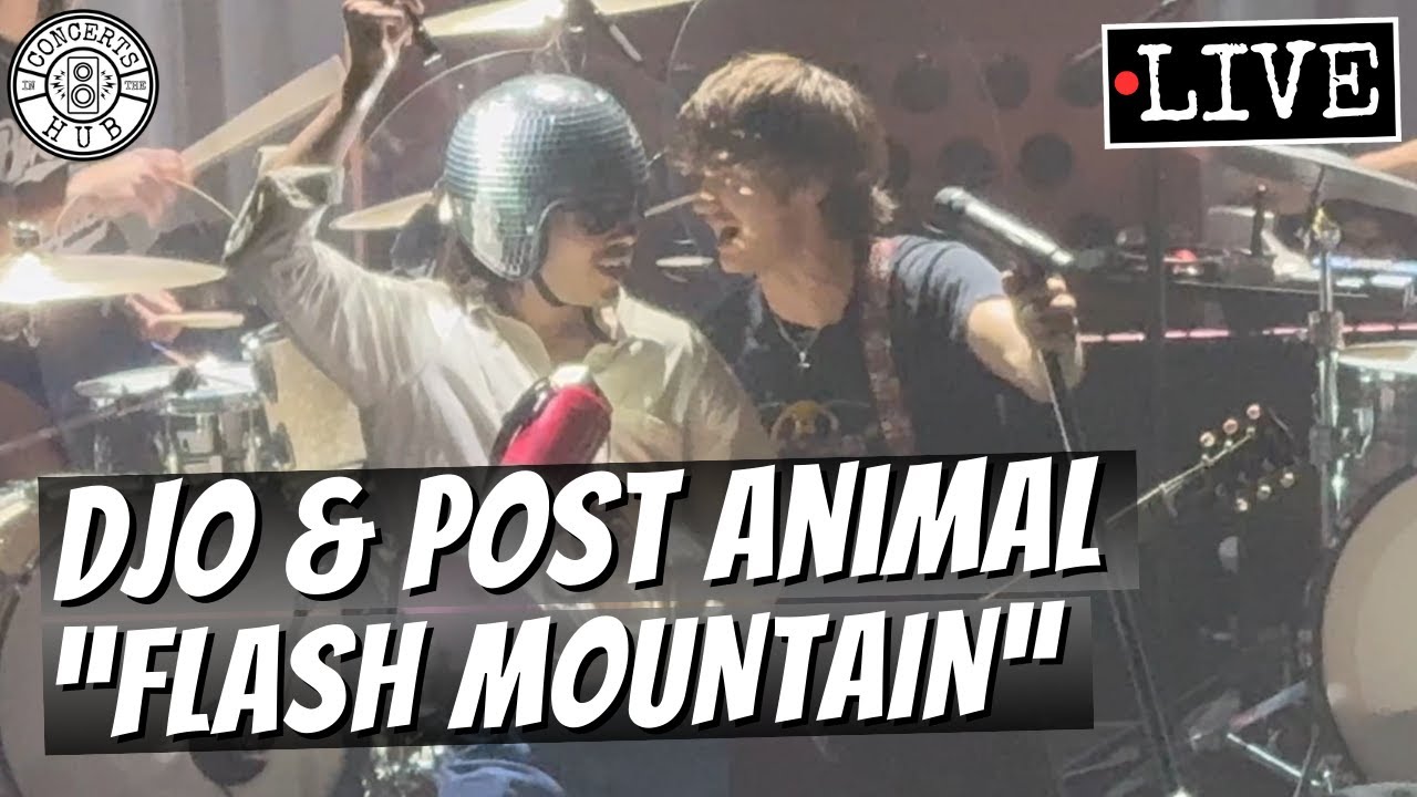 Djo & Post Animal 