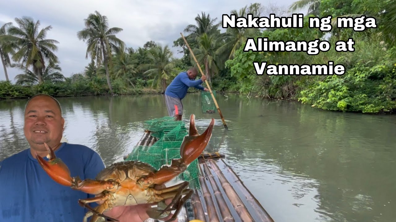 Jackpot na naman sa Alimango at Vannamie Shrimp