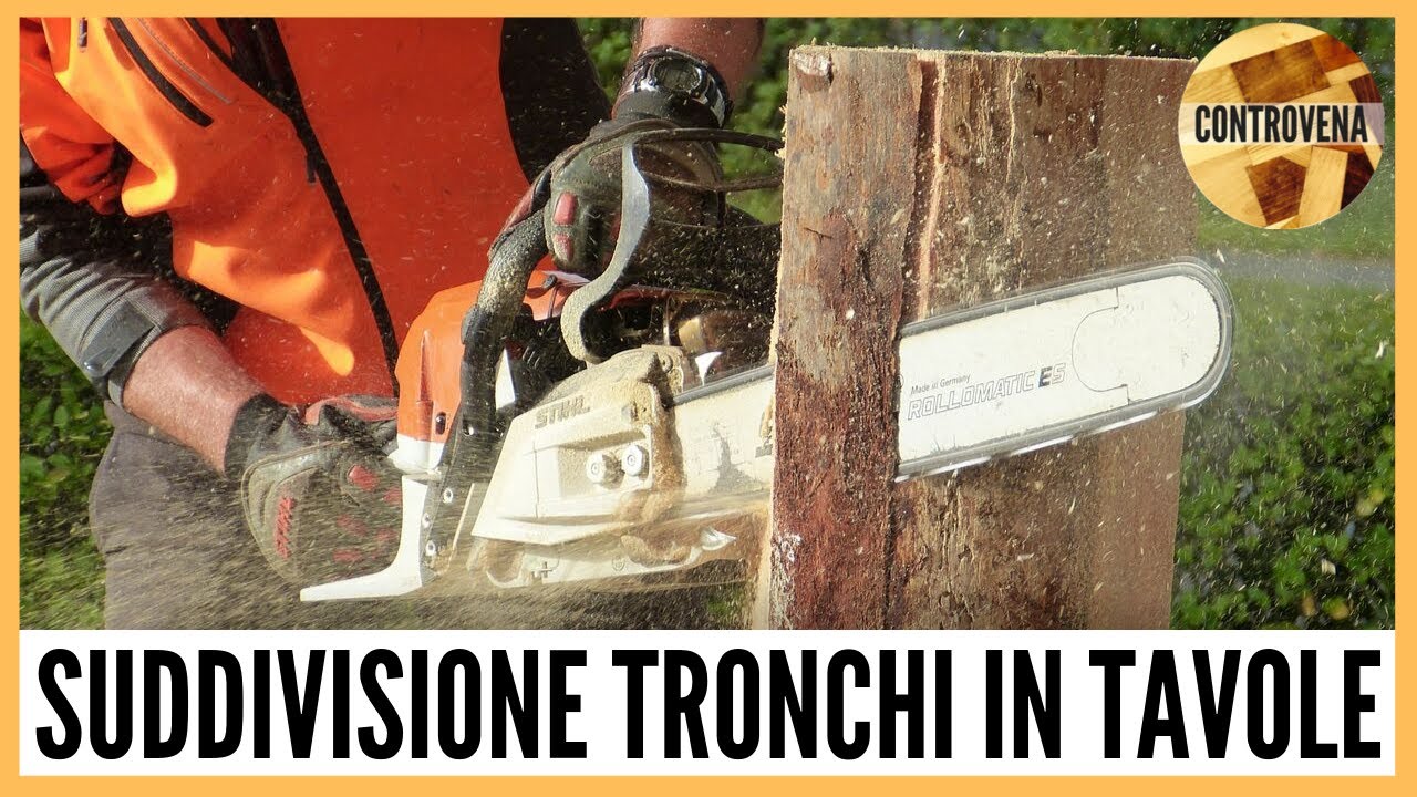 Quali tagli si utilizzano per suddividere un tronco in tavole | 3MDF #19 | Falegnameria e legno