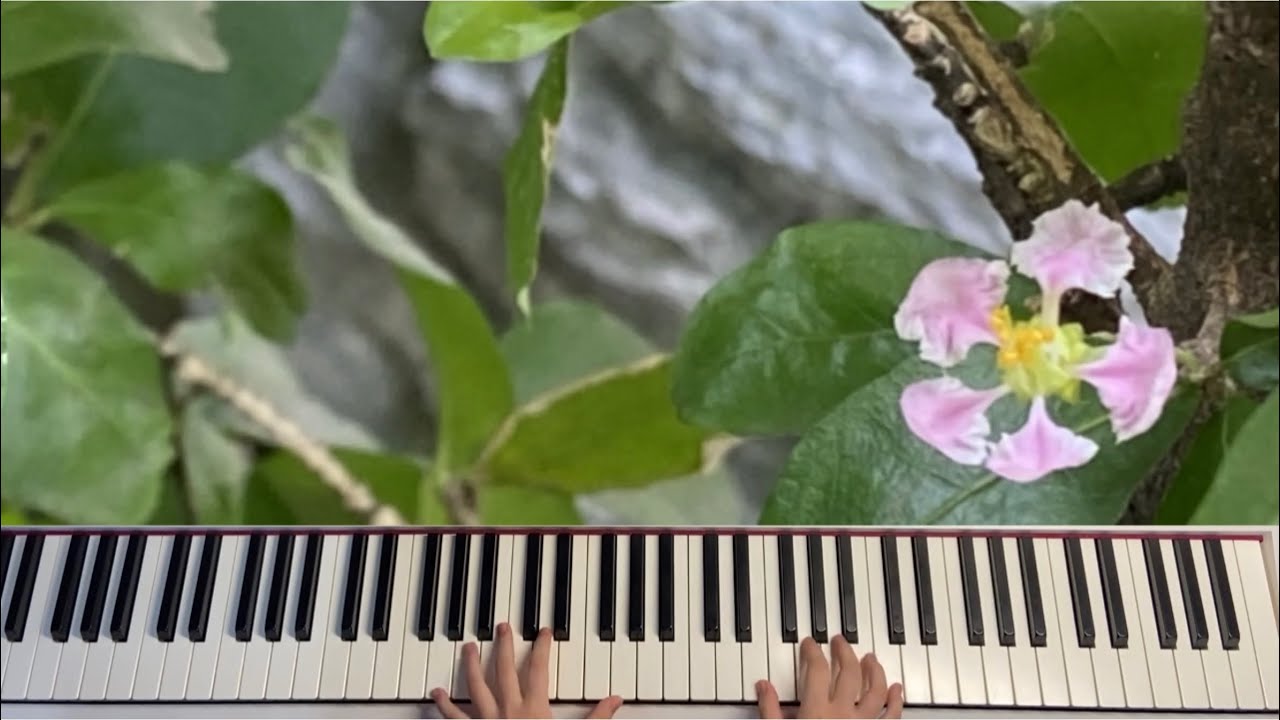 This Divine Romance(神聖羅曼史英文版)Piano-By Stacy