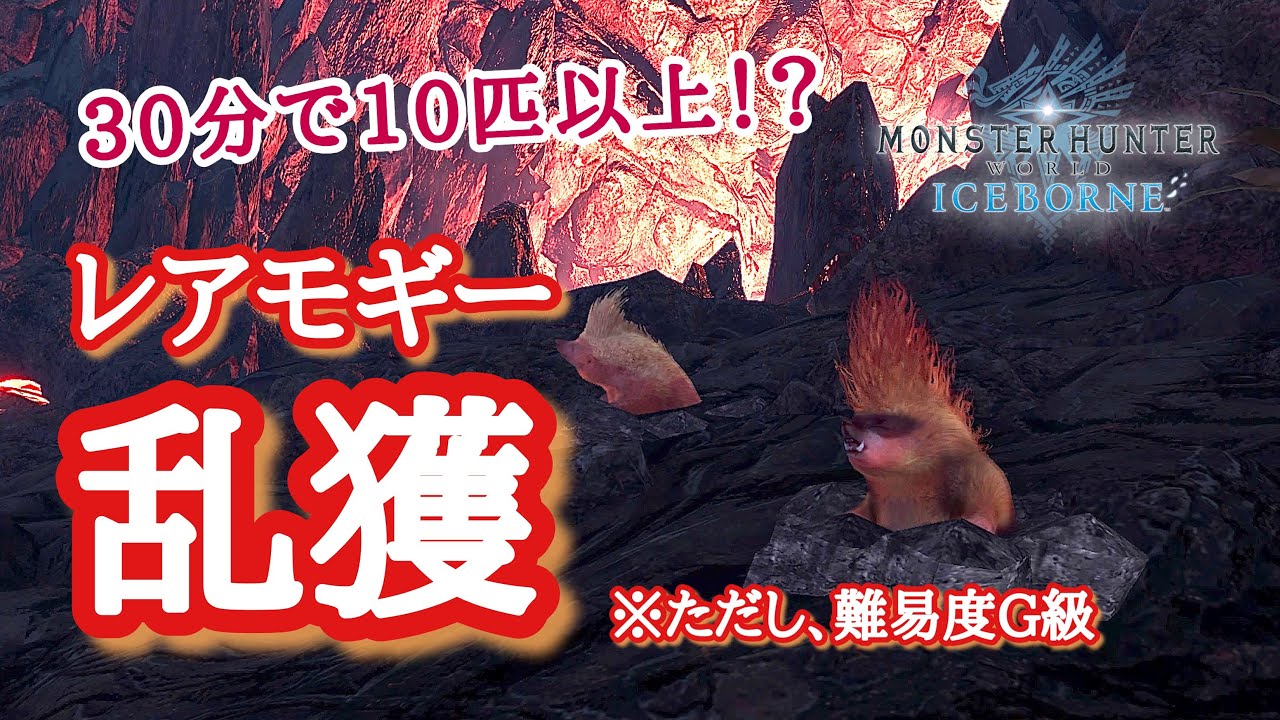 【MHWI】レアモギーを30分で10匹以上乱獲する方法【ただし難易度G級】