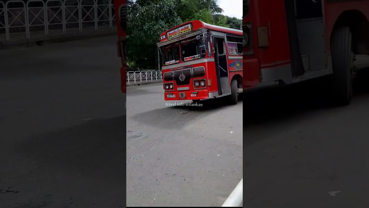 red queen boom! boom! Hatton 725 kandy leyland viking ctb bus