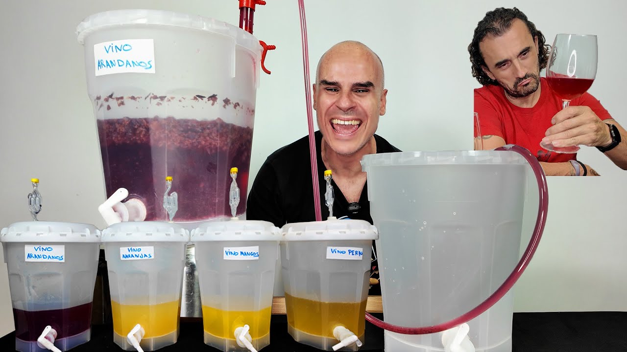 VINO DE FRUTAS CASERO ¿ÉXITO O DESASTRE?
