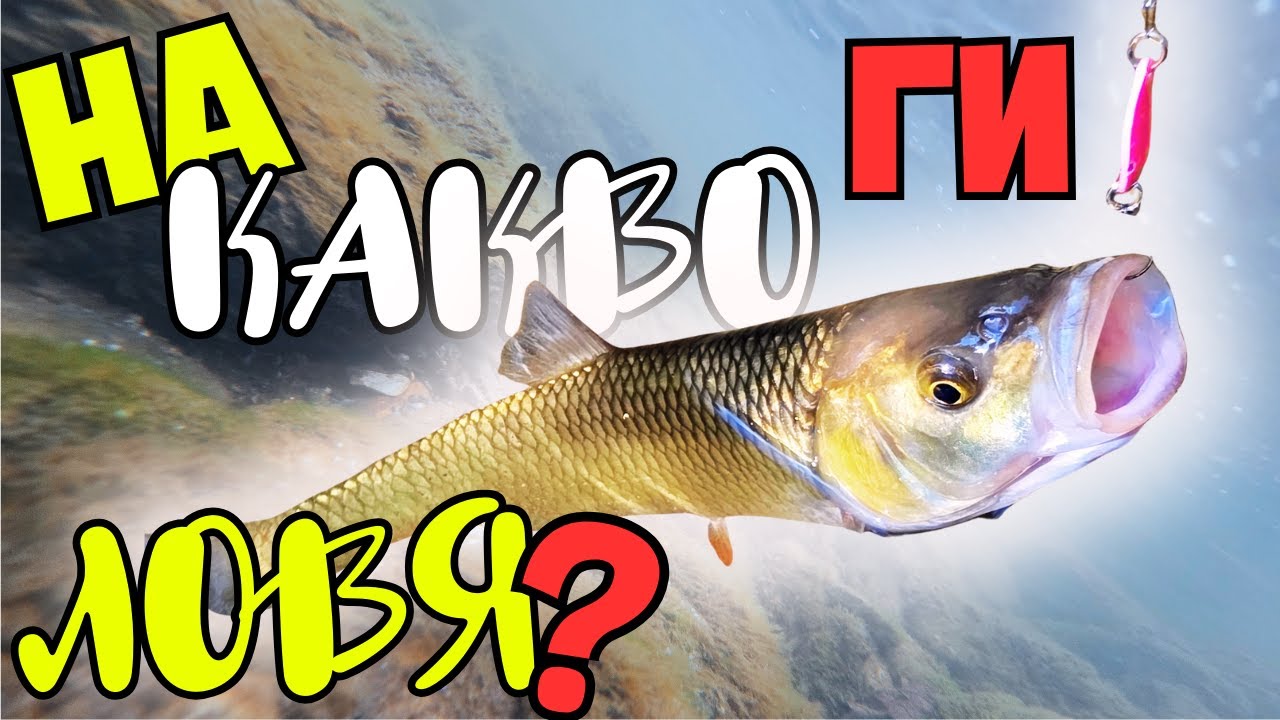 В ТРУДНИ УСЛОВИЯ!!! ОБРАСЛА И МАЛОВОДНА РЕКА КАМЧИЯ!!!