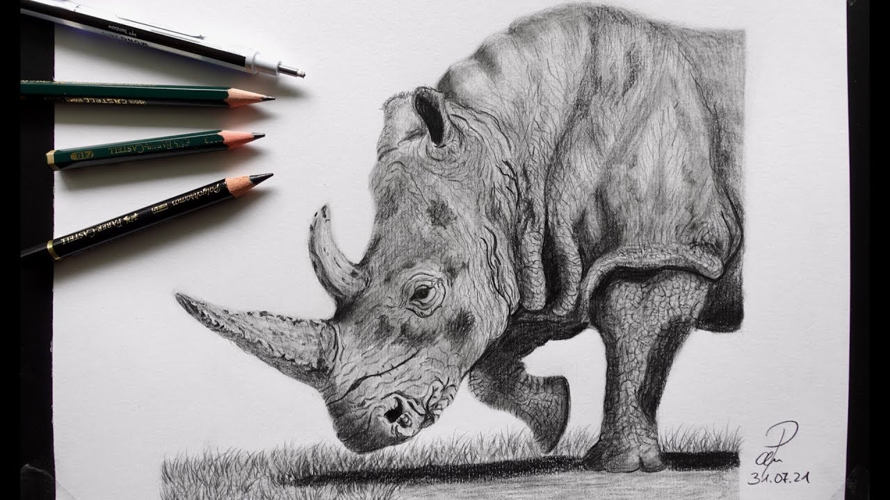 Realistisches NASHORN ZEICHNEN - Ausarbeitung und Details - Teil 2