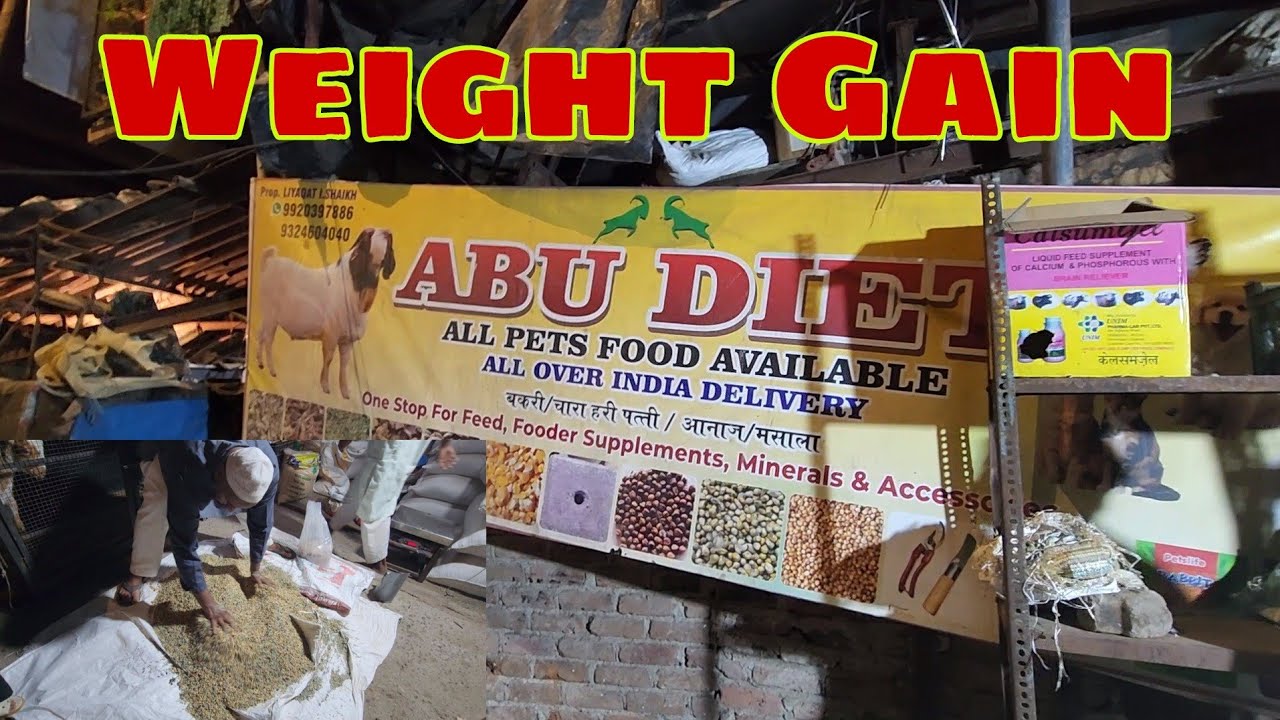 Bakro Ka Feed Khud Banao Ghar Pe | Mix Feed Formula | Abudiet Liyakat Bhai Antophill.