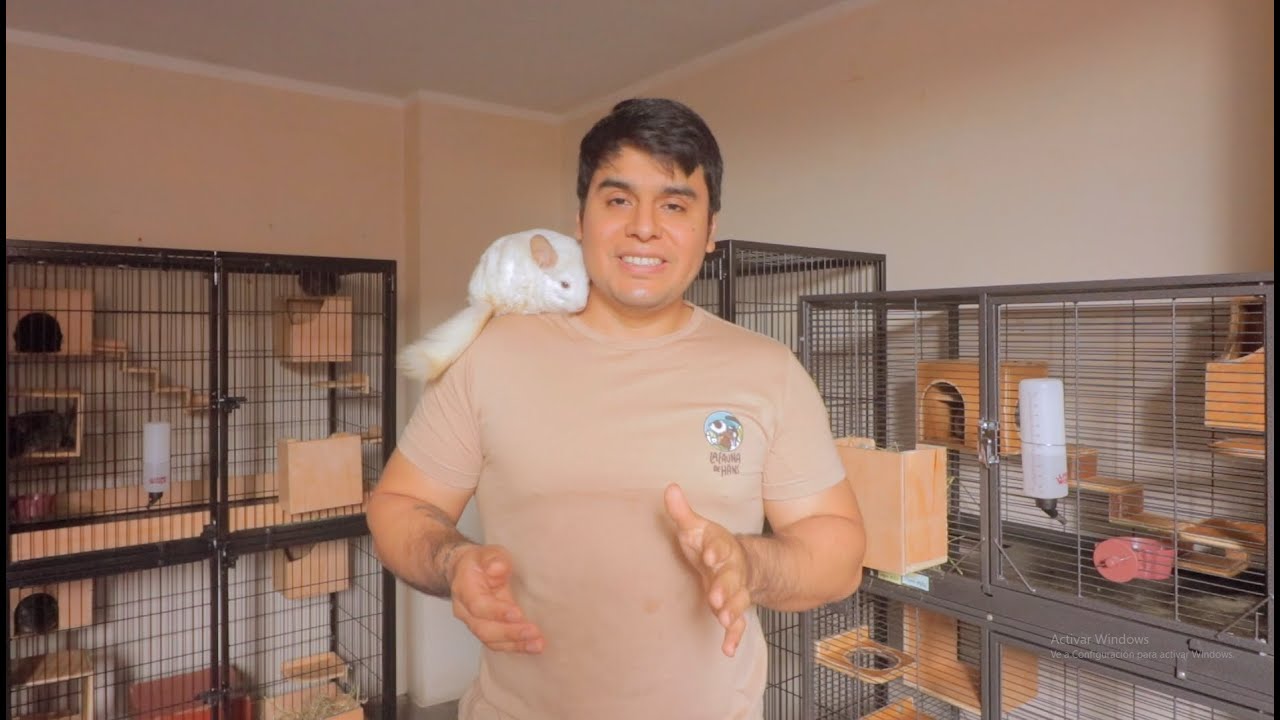 La casa perfecta de la Chinchilla 2