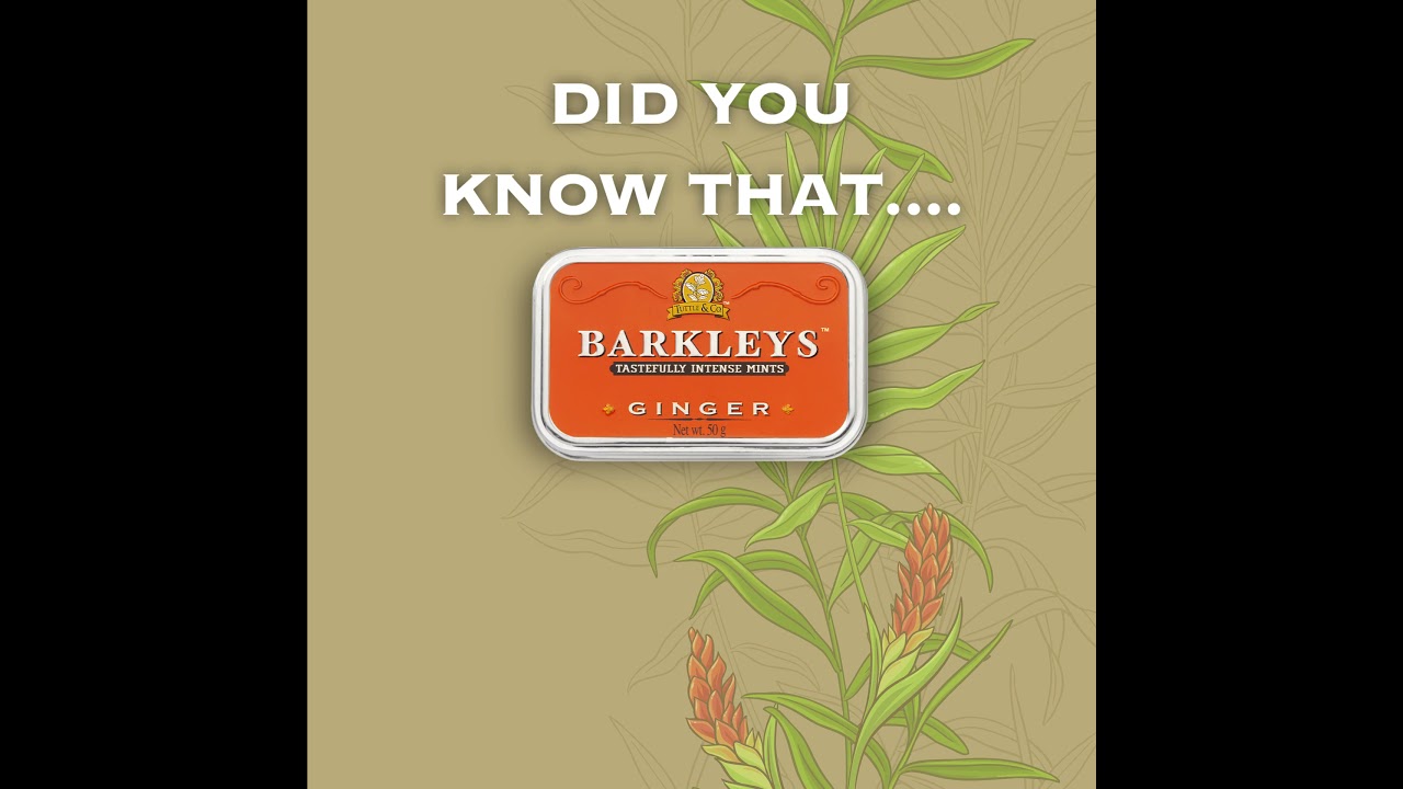 Barkleys Mints - Intense Ginger flavour