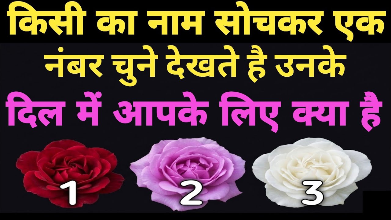 उनका नाम लेकर एक नंबर चुनें! ❤️ उनके दिल की बात जानें | Pick A Card | Tarot Reading