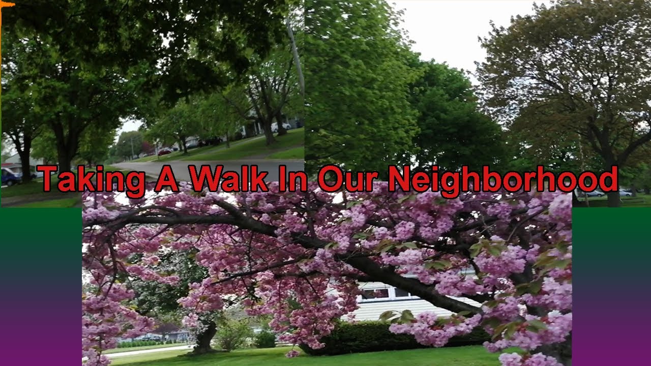 Taking A Walk In Our Neighborhood At Rochester, NY