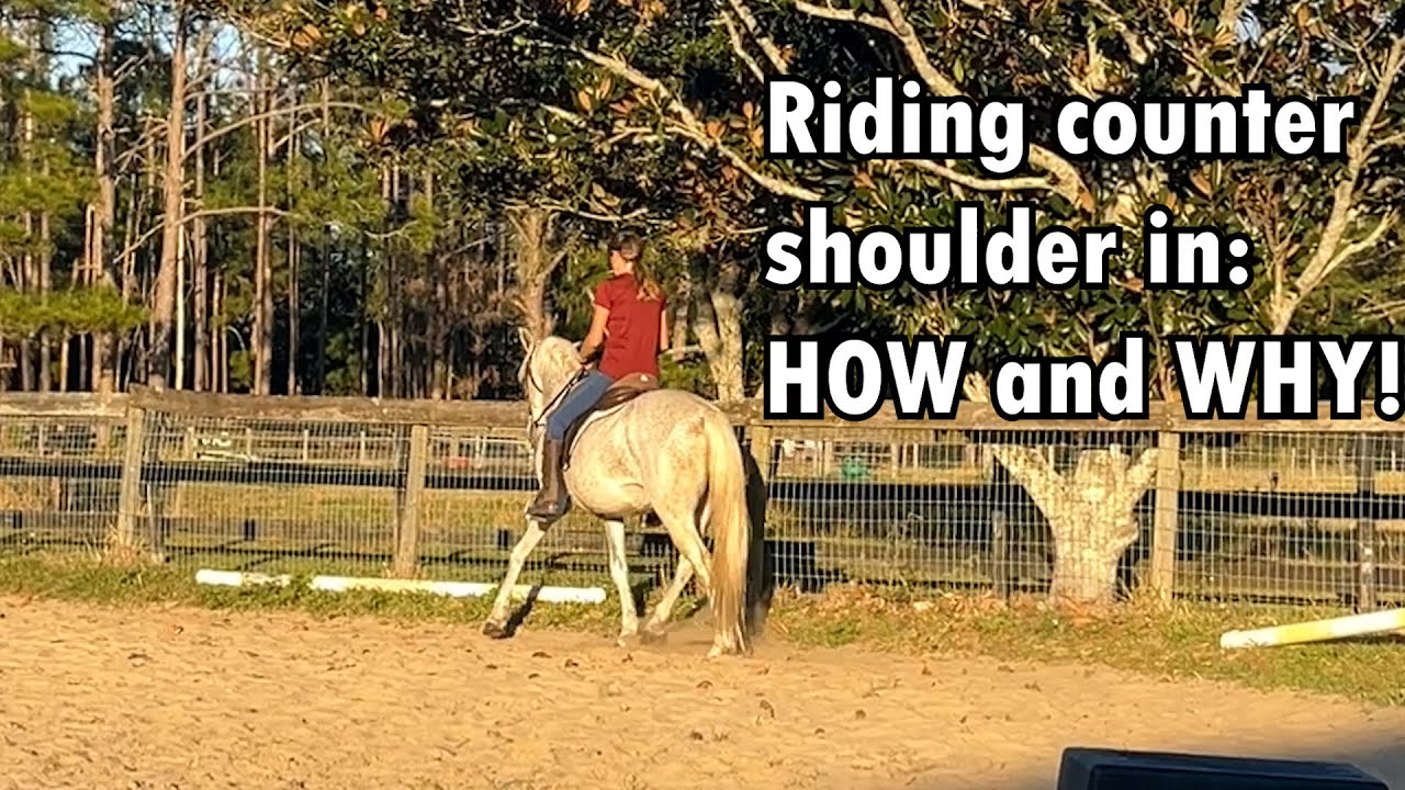 HOW and WHY to ride your horse in counter shoulder in (with 3 examples)