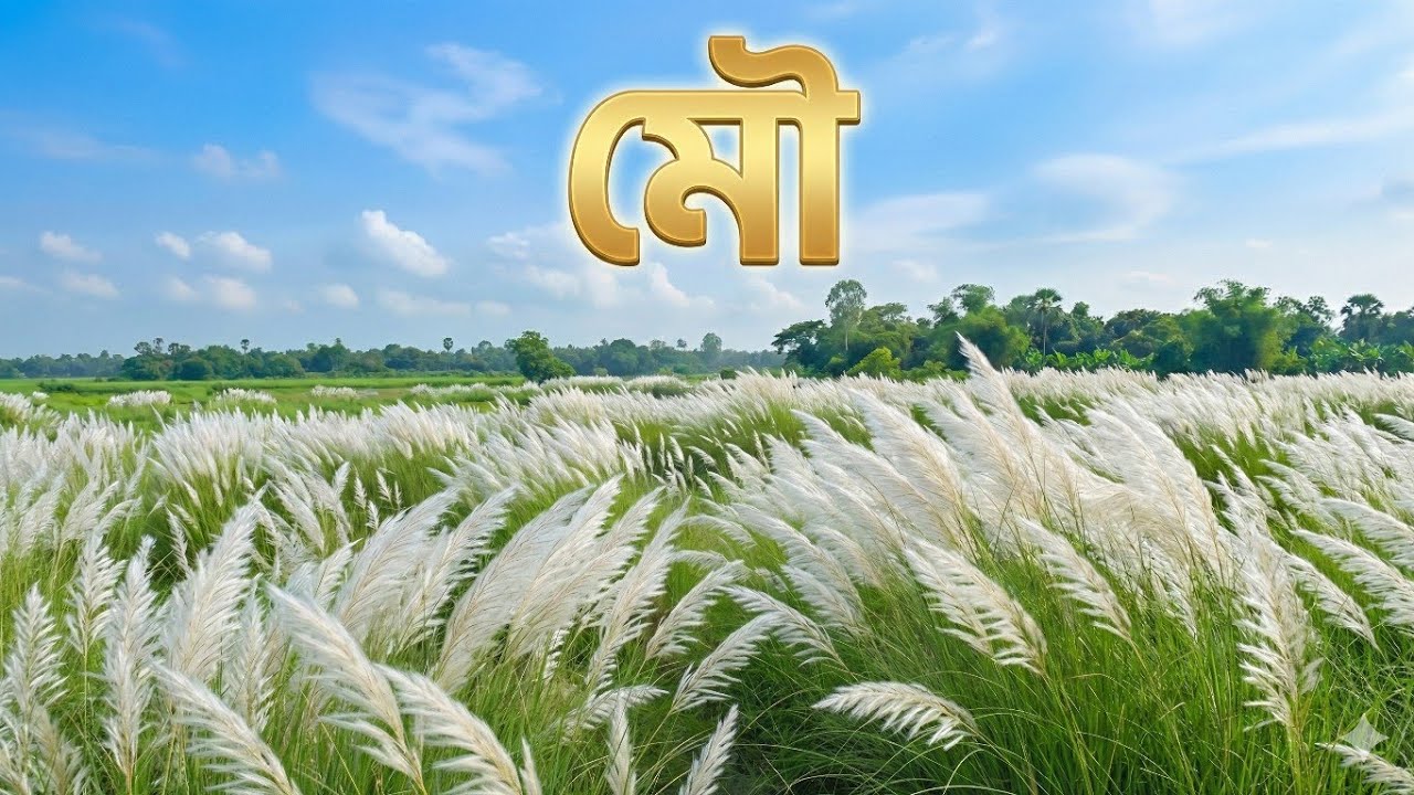 ছন্দে ও কথায় | মৌ | কাঁশফুলের মৌ | স্পর্শ | রাজশাহী | মজুমদার দর্শন | Mazumder Philosophy