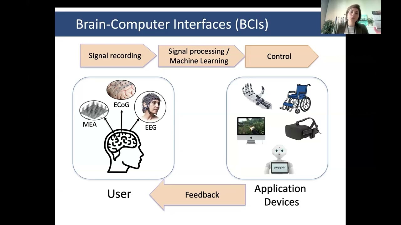 Navigating the PhD Journey: Lessons Learned from Research with Robots and Brain-Computer Interfaces